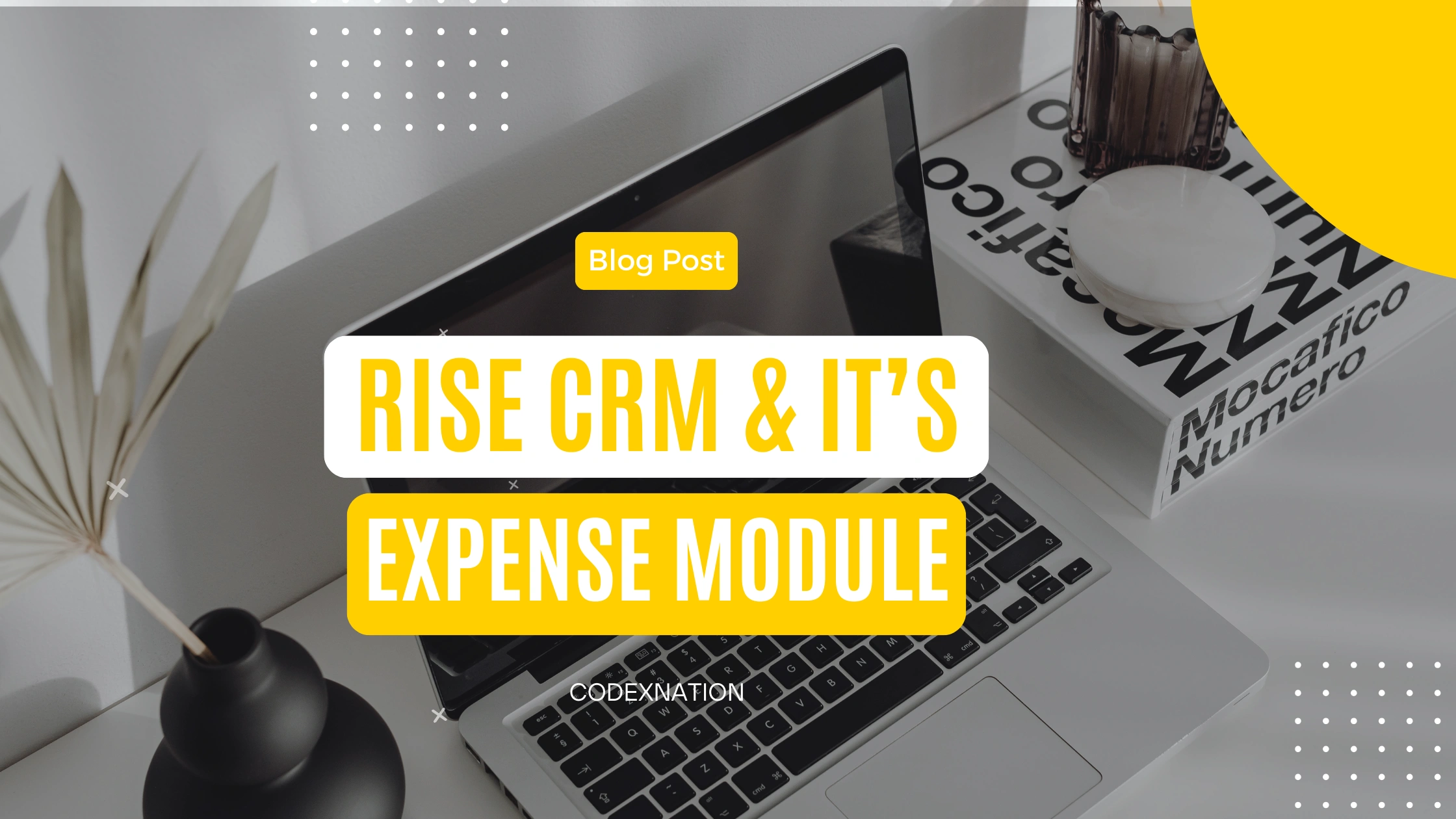 Rise CRM and its Expense Module