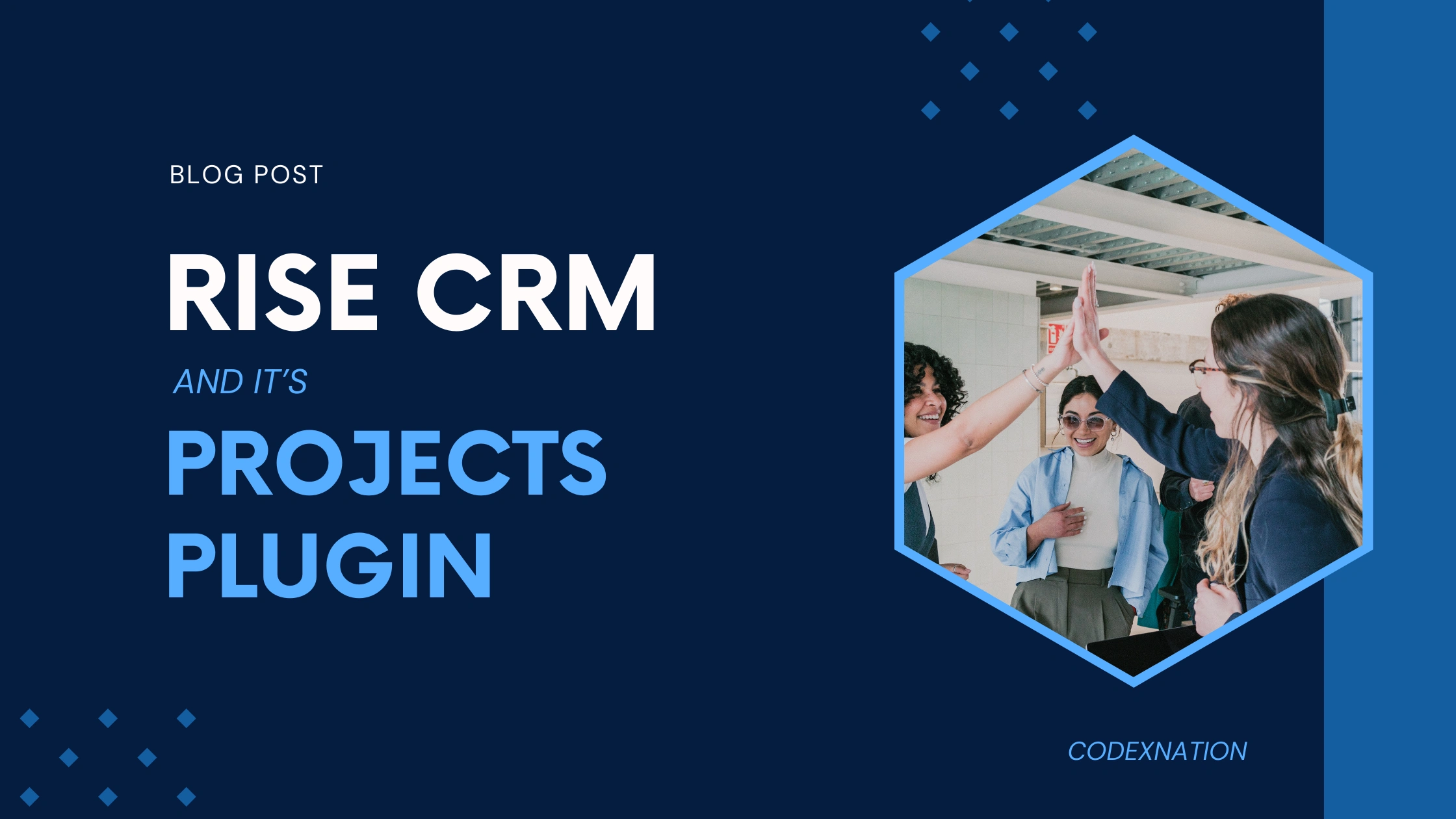 Rise CRM and its Projects Plugin