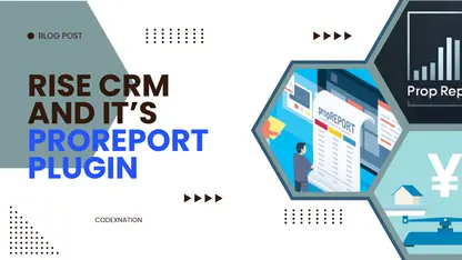 Rise CRM and its ProReport Plugin