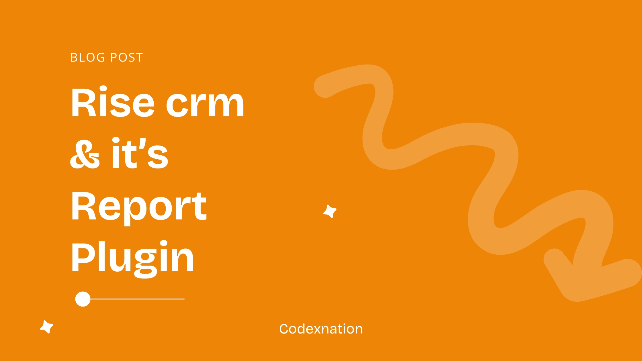 Rise CRM and its Report Plugin