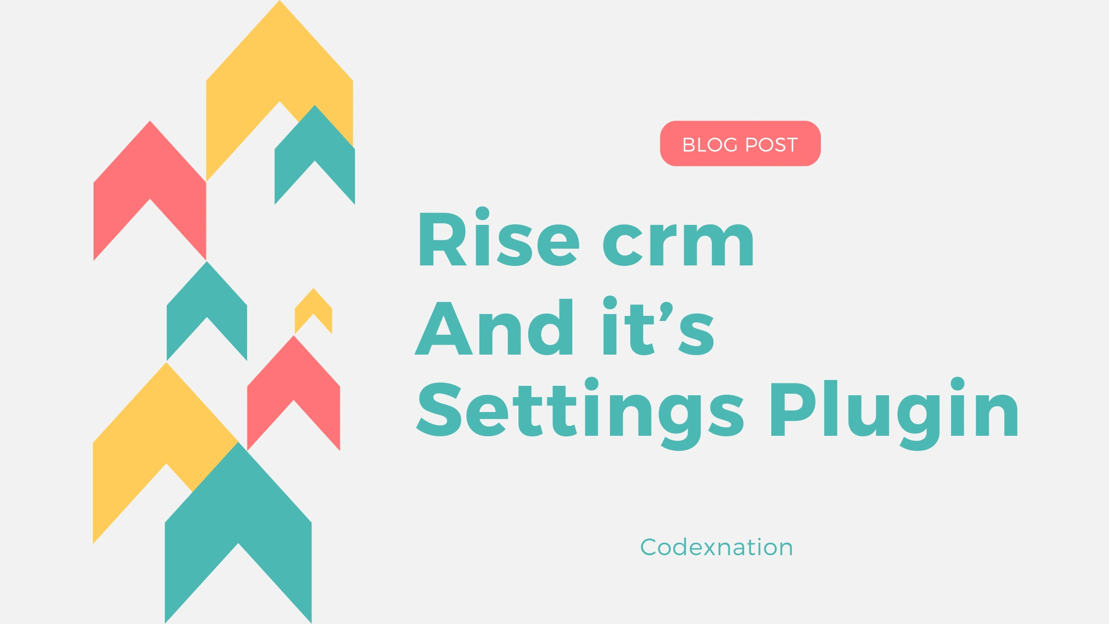 RISE CRM and its Settings Plugin