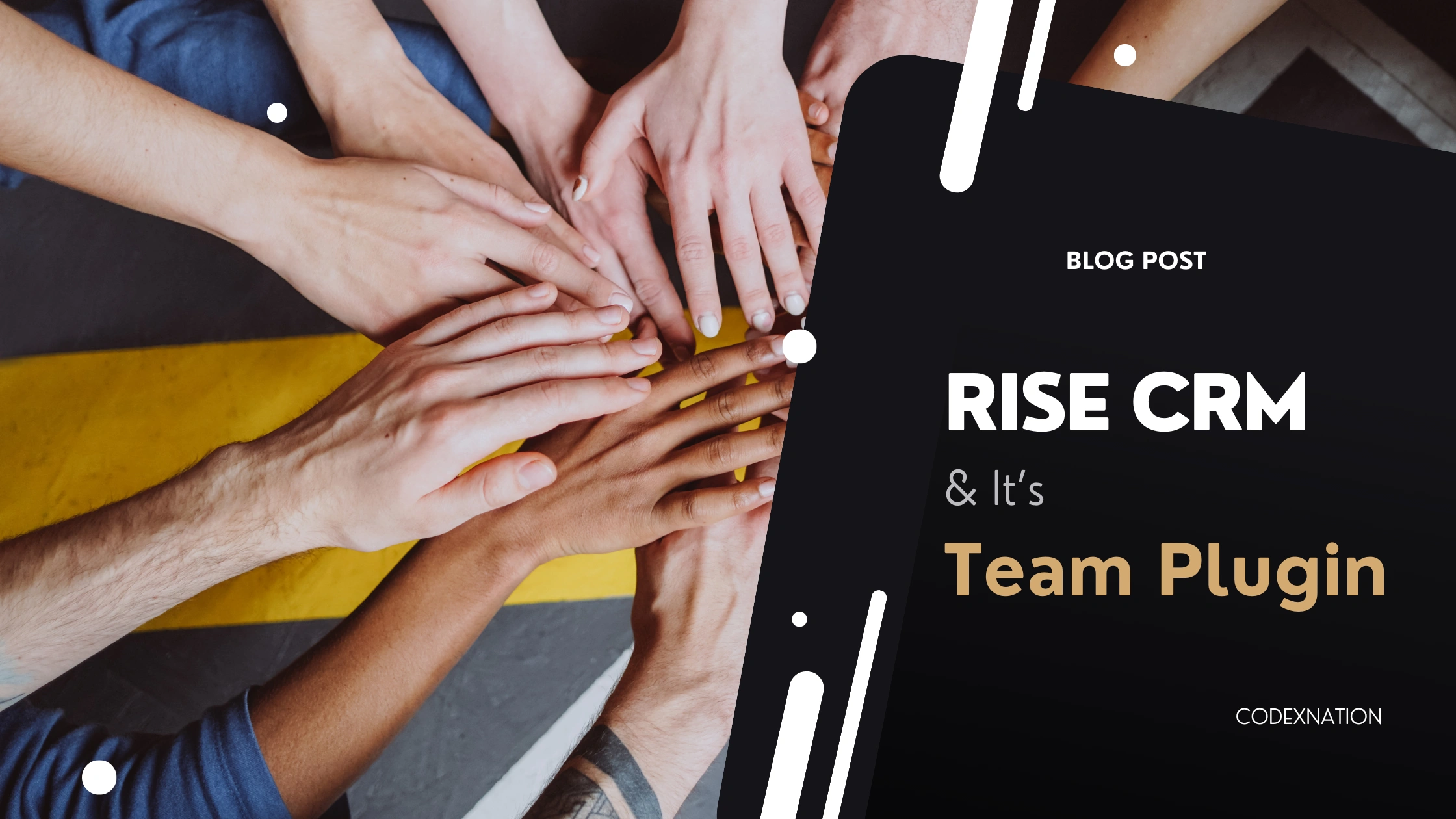 Rise CRM and its Team Plugin