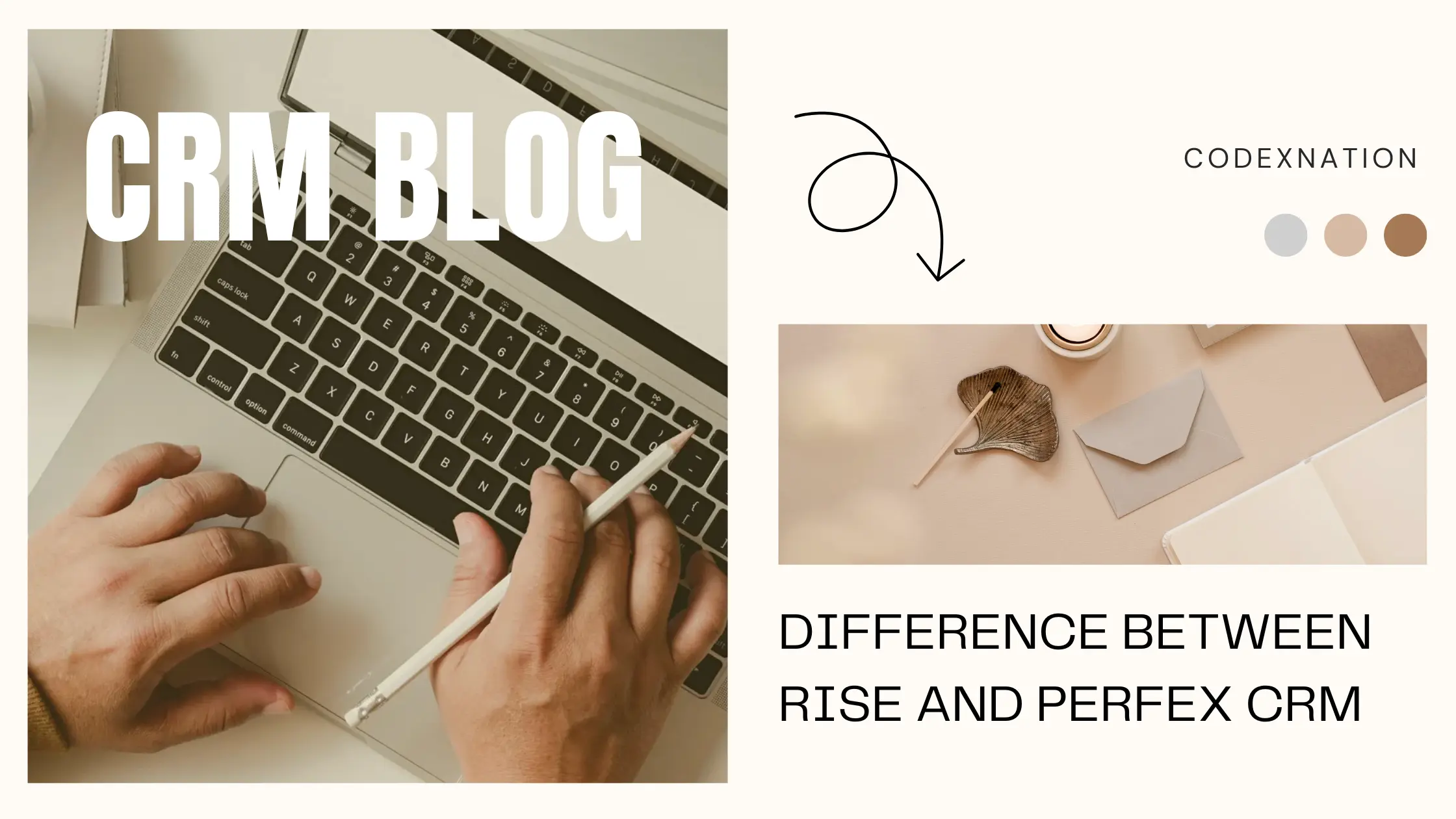Difference between Rise and Perfex CRM