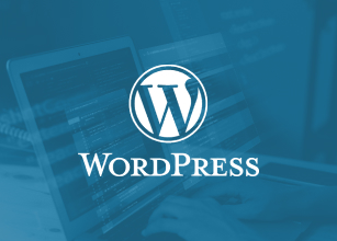 WordPress Development